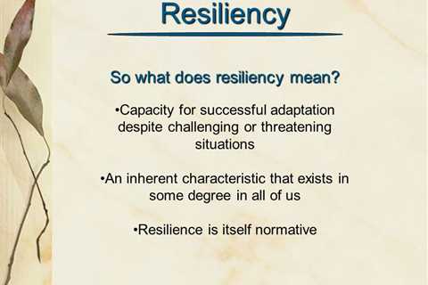 What Does Resilience Mean?
