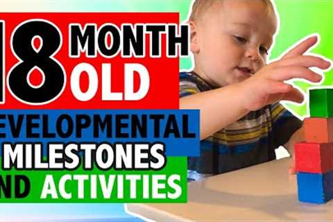 HOW TO PLAY WITH YOUR 18 MONTH OLD | DEVELOPMENTAL MILESTONES | WHAT YOU NEED TO KNOW