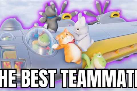 THE BEST TEAMMATE IN PARTY ANIMALS?!