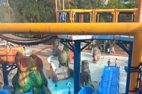 The Ultimate Parent's Guide to Family-Friendly Activities in Central Florida